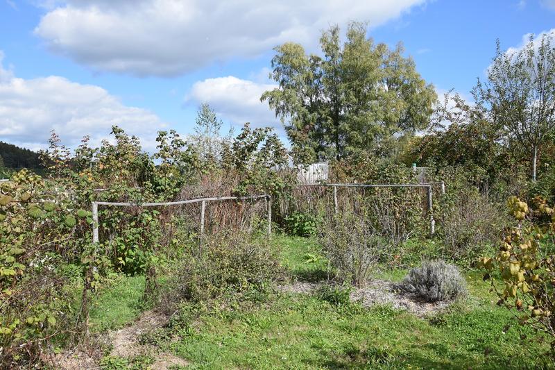 Stage création de jardin