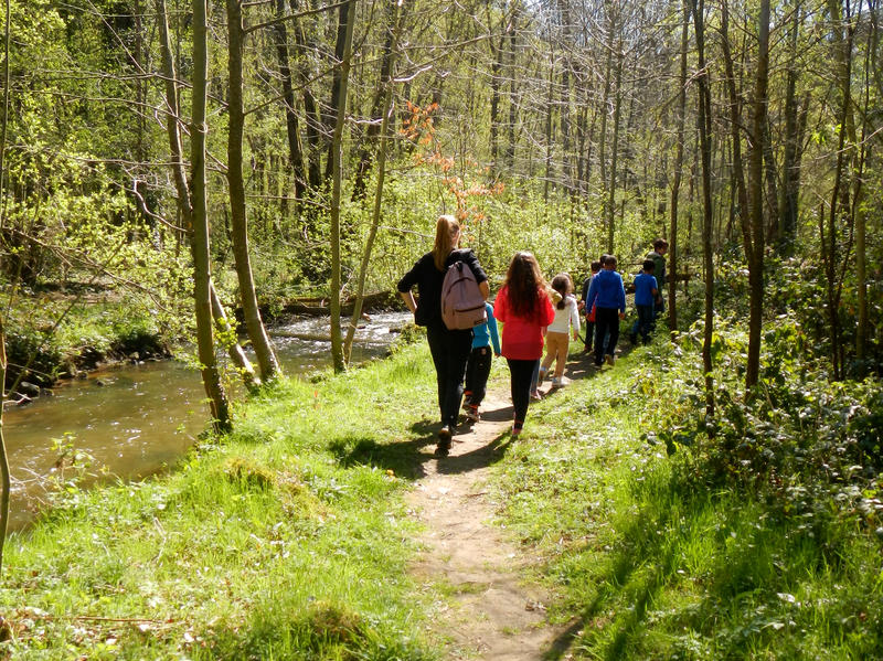 Exploration sensorielle de la nature