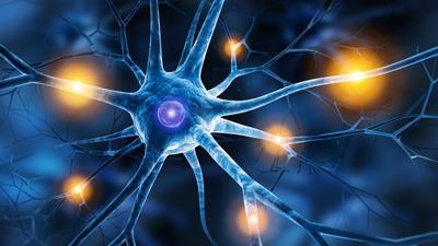 &quot;Maladie d'Alzheimer : et si le cerveau pouvait se défendre?&quot;