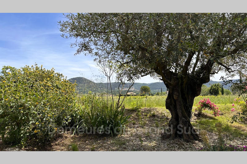 Mas - 332 m² - 10 pièces