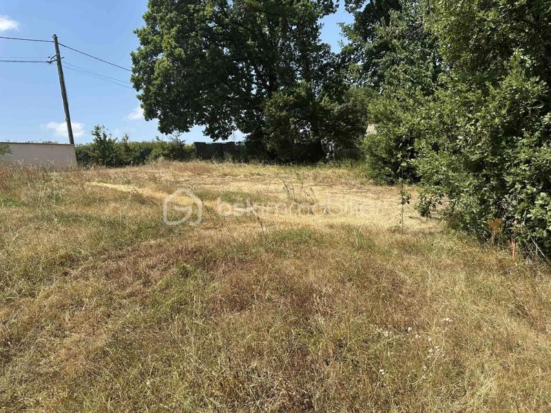Terrain constructible - 2 135 m²