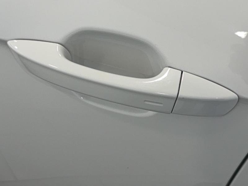 Volkswagen Polo 1.0 Tsi 115 s&amp;S Dsg7 Carat Exclusive