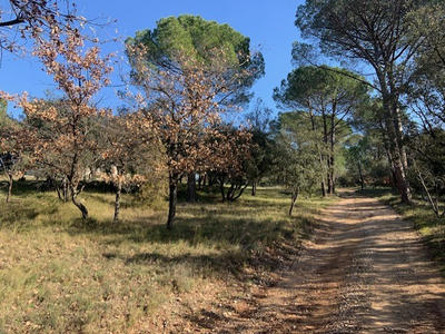 Bastide - 220 m² - 7 pièces