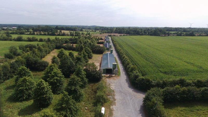 Ferme - 118 m² - 5 pièces