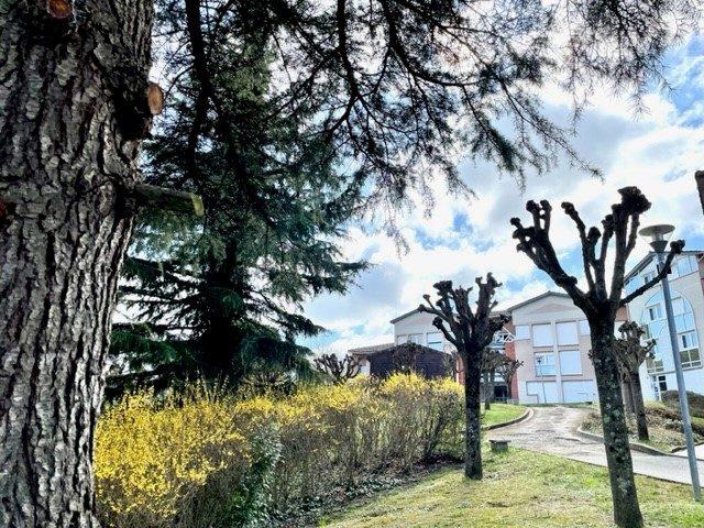 Appartement - 33 m² - 2 pièces