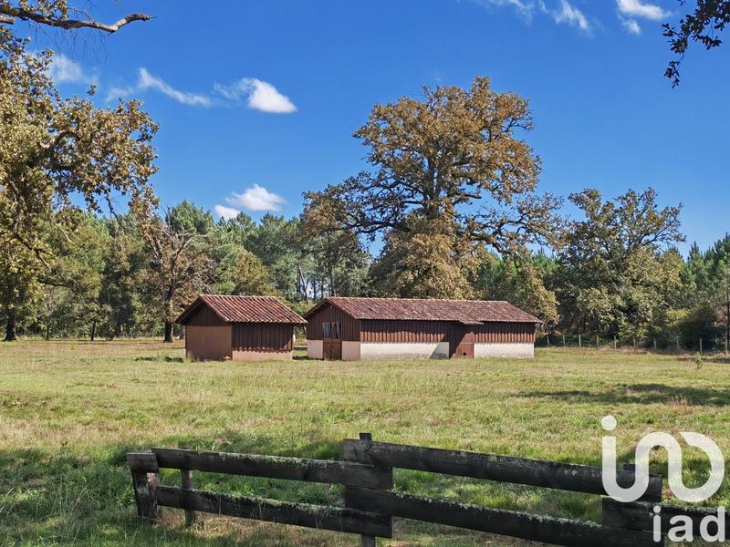 Maison - 245 m² - 6 pièces