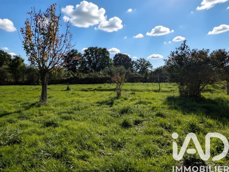 Maison de campagne - 99 m² - 4 pièces