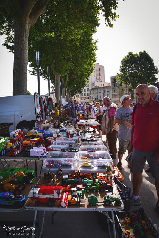 Puces montluconnaises