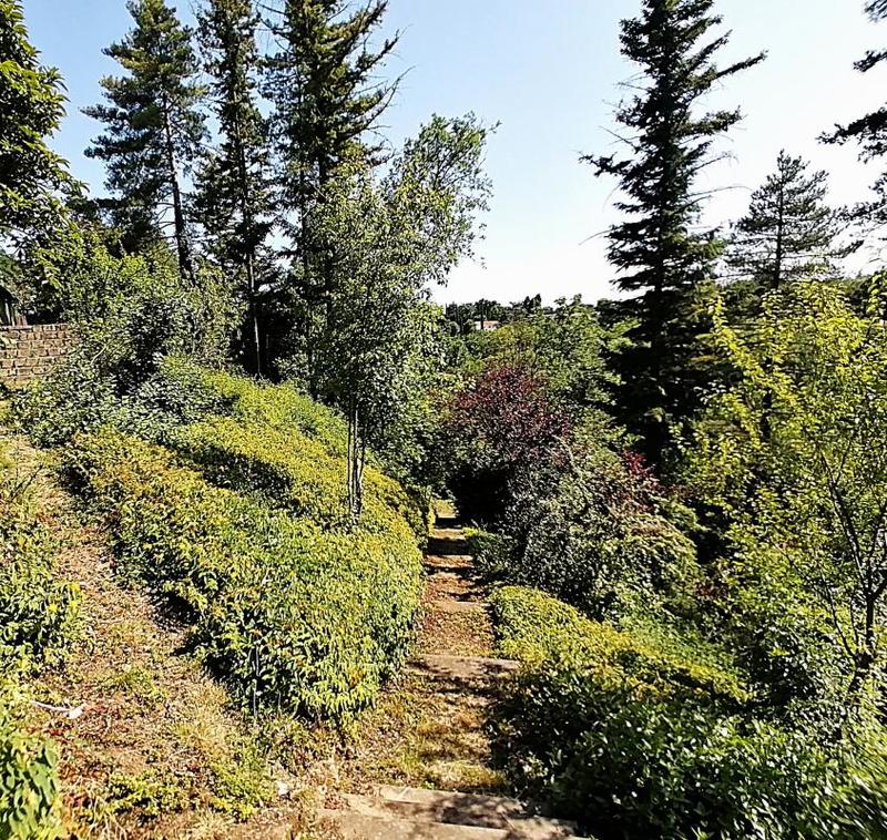 Maison - 148 m² - 6 pièces