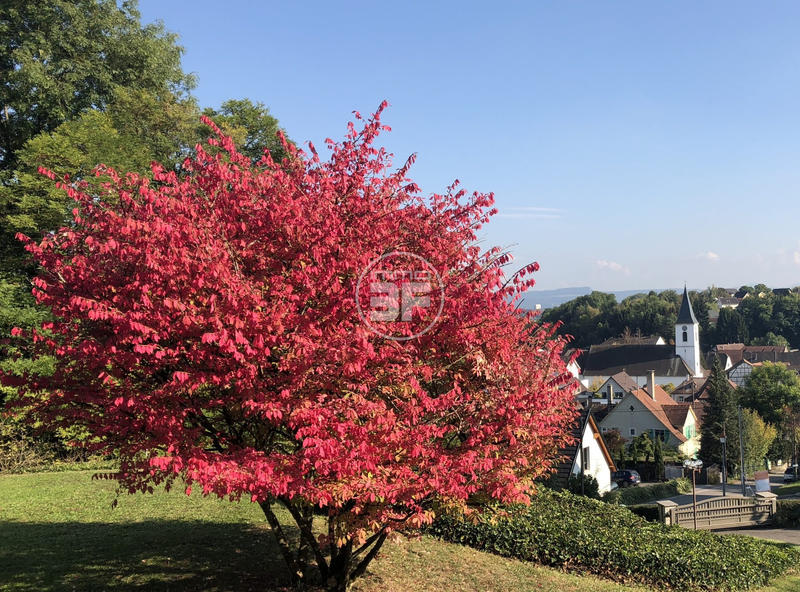 Maison - 240 m² - 5 pièces