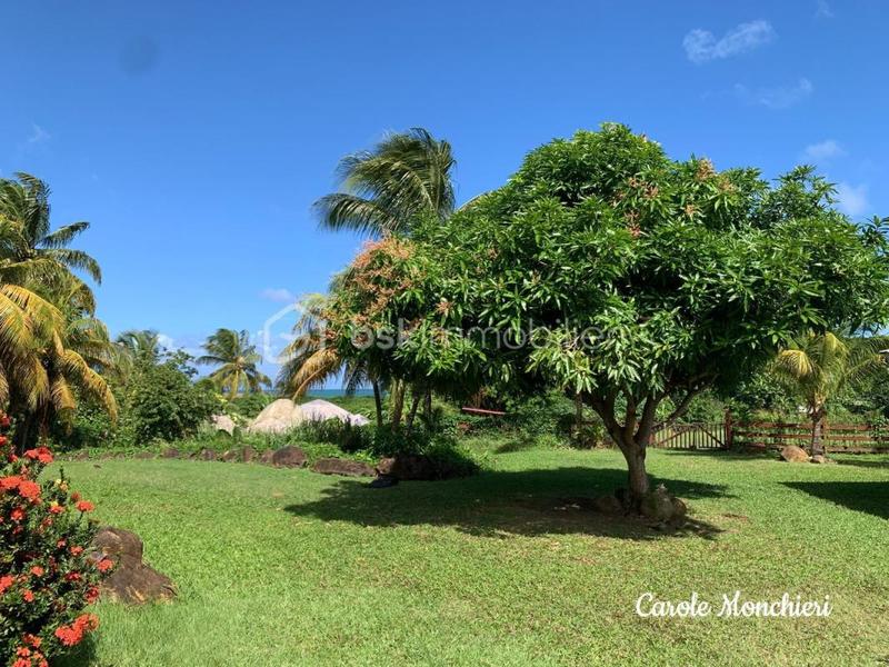 Propriété - 387 m² - 18 pièces