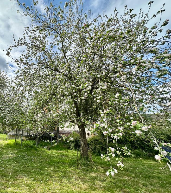 Maison - 196 m² - 7 pièces