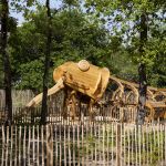 La Forêt du Bourgailh