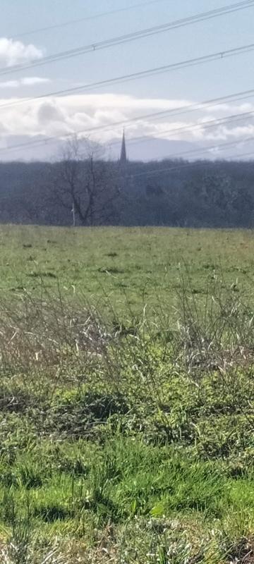 Maison - 150 m² - 1 pièce