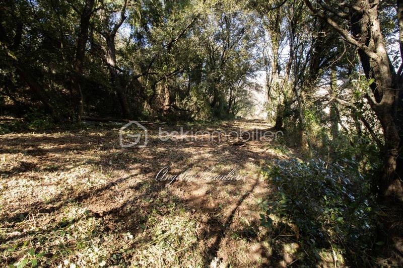 Terrain constructible - 1 881 m²