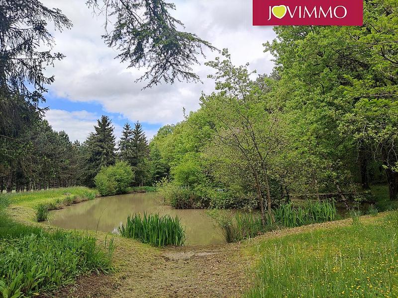 Terrain - 100 000 m²