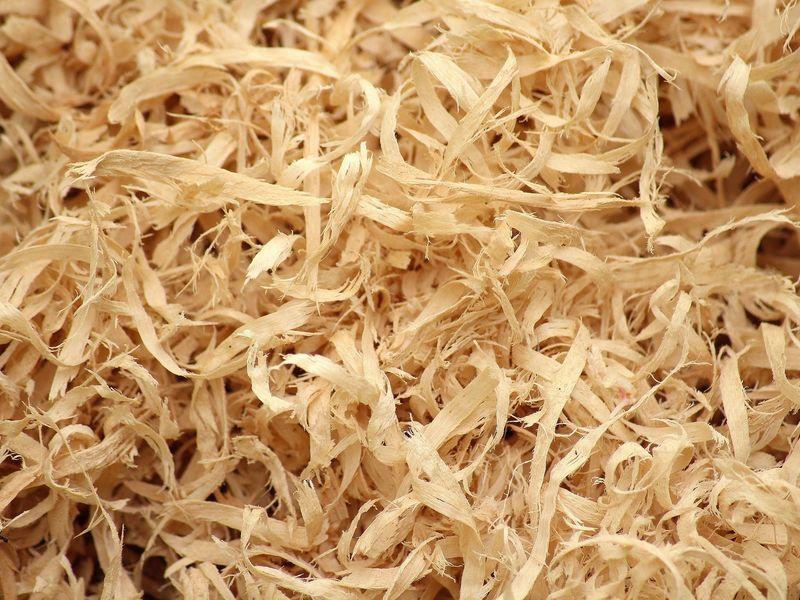 Atelier Marque-Pages personnalisés