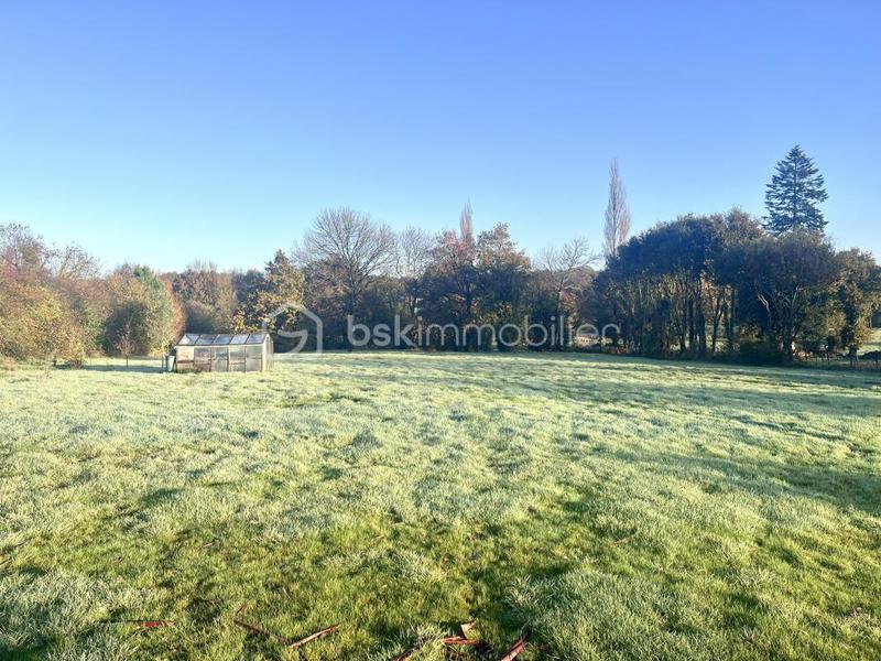 Maison en pierre - 150 m² - 6 pièces