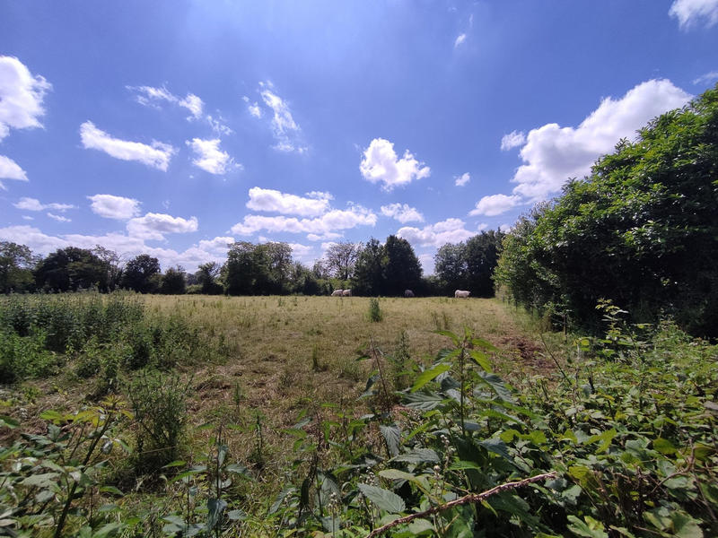 Maison - 76 m² - 3 pièces