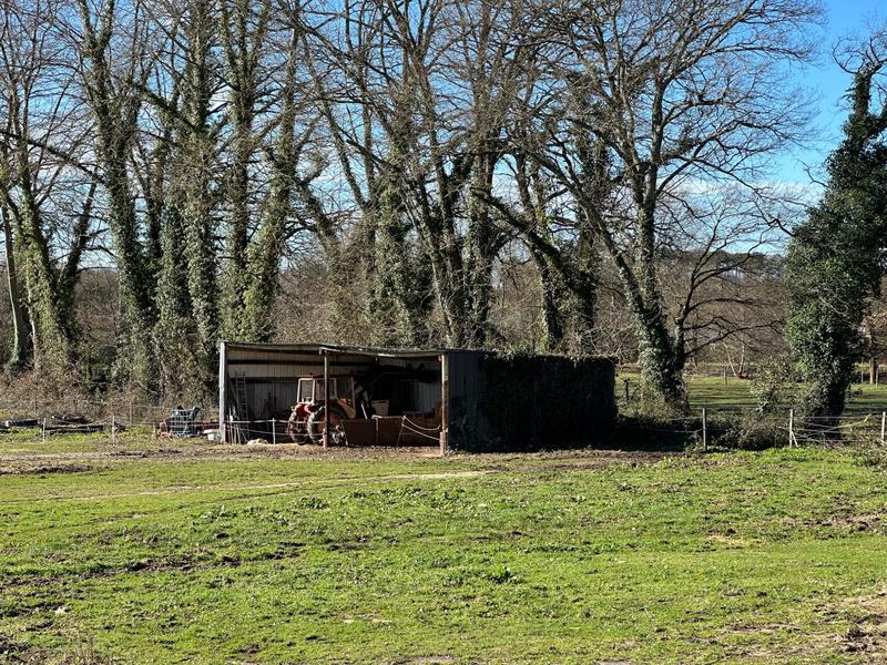 Maison ancienne - 140 m² - 5 pièces