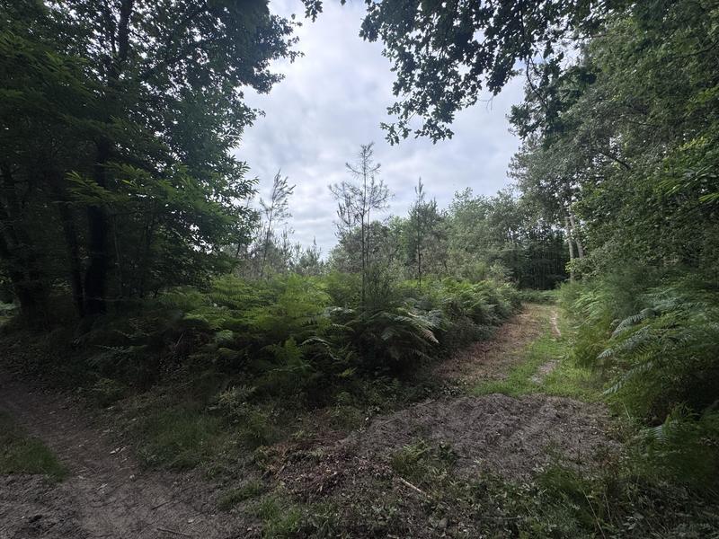 Terrain - 141 093 m²