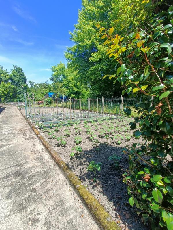 Maison - 288 m² - 12 pièces