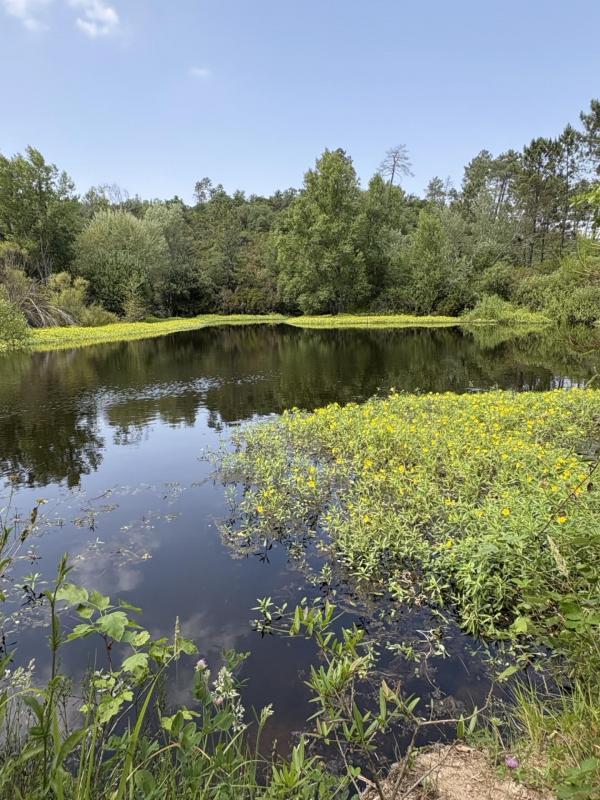 Terrain agricole - 80 000 m²