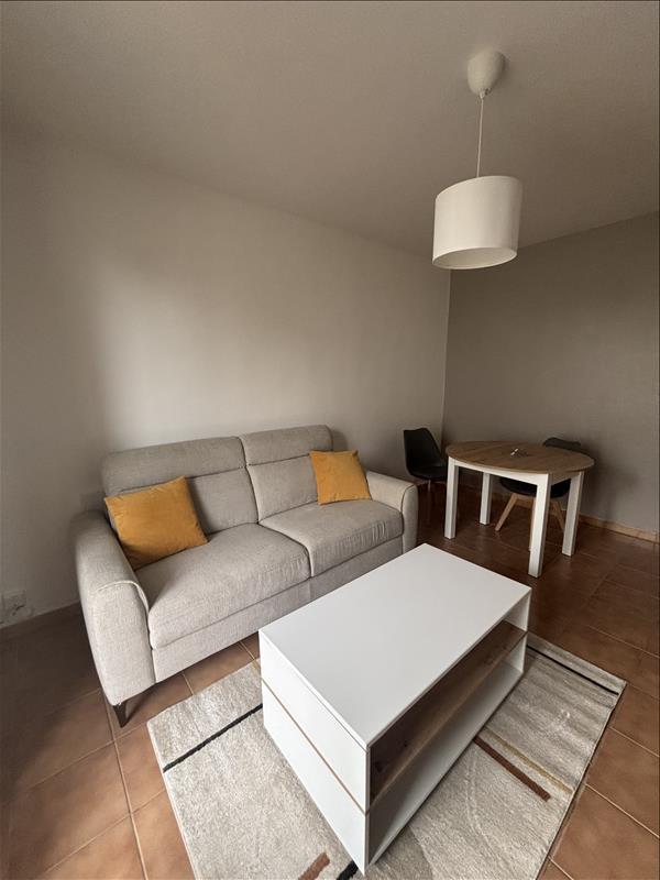 Studio - 25 m² - 1 pièce