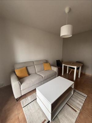 Studio - 25 m² - 1 pièce