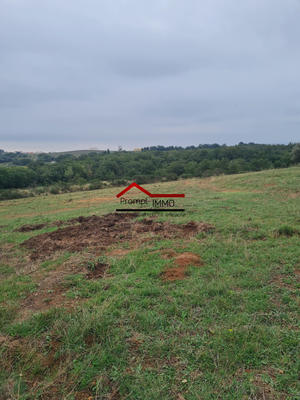 Terrain agricole - 23 648 m²