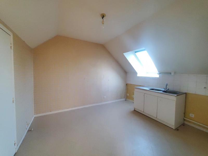 Appartement ancien - 51 m² - 2 pièces