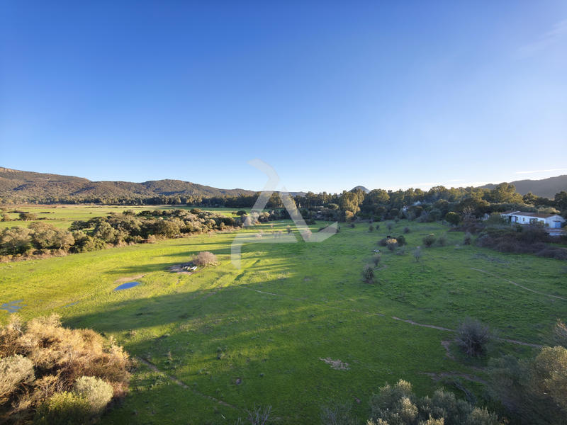 Appartement - 65 m² - 4 pièces