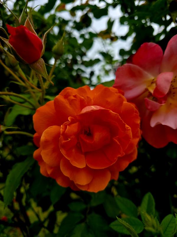 Promenade : le quartier du Bon Marché, ses bonnes adresses et ses gourmandises