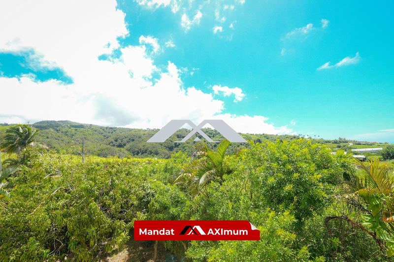 Maison - 142 m² - 5 pièces