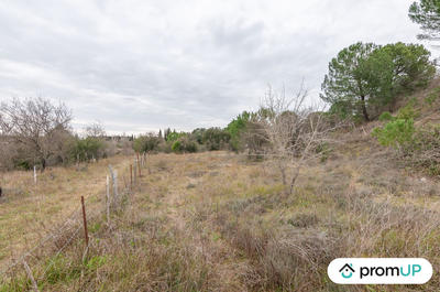 Terrain agricole - 10 601 m²