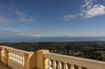 Maison de maîtres - 367 m² - 12 pièces