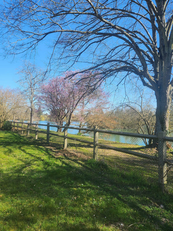 Maison - 144 m² - 7 pièces