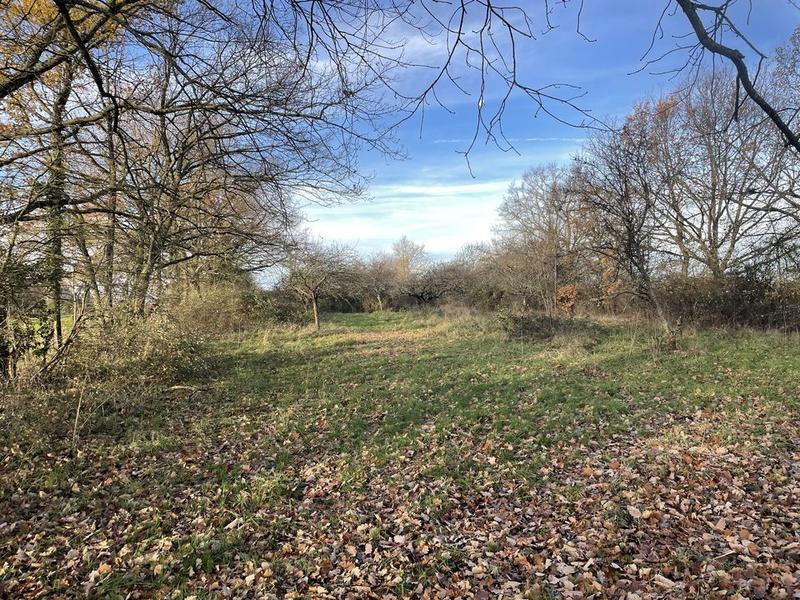 Terrain constructible - 2 960 m²