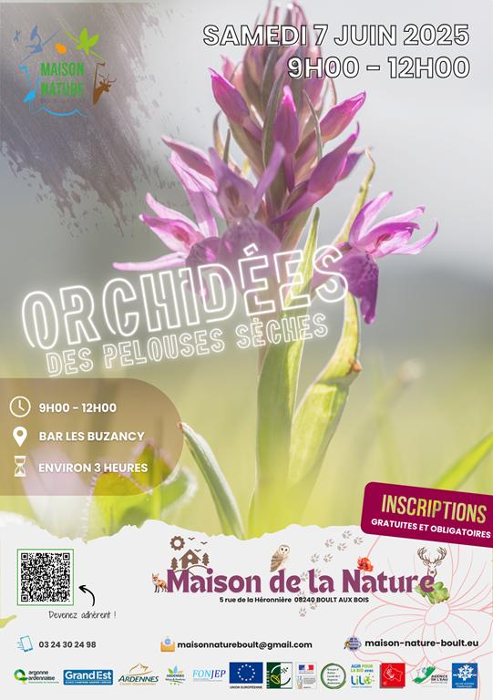 Les orchidées des pelouses sèches