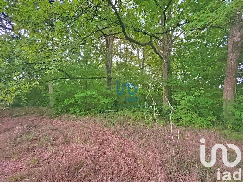 Maison - 170 m² - 8 pièces