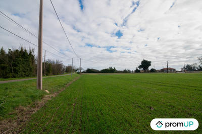 Terrain - 10 000 m²