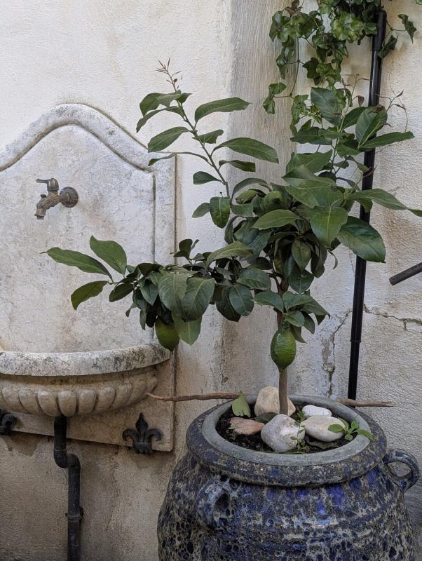 Maison de village - 175 m² - 7 pièces