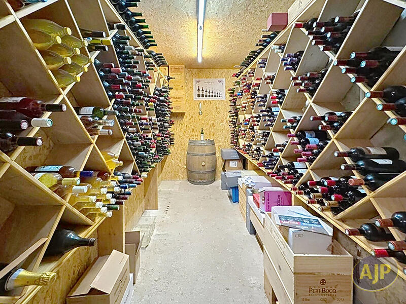 Maison - 360 m² - 10 pièces