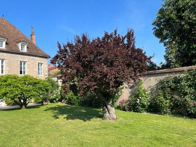 Hôtel particulier - 420 m² - 11 pièces