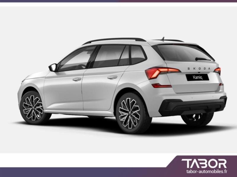 Skoda Kamiq 150 Dsg Dynamic Acc SideA Cam Kessy