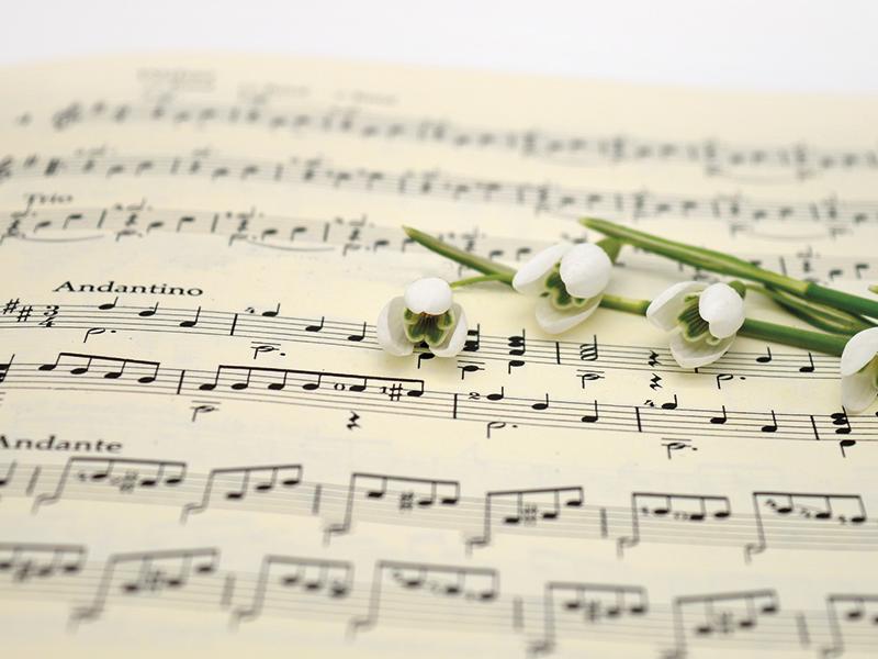 Concert Audrey Pepin-Boutin et les Barbachoeurs