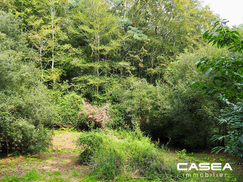 Terrain agricole - 7 694 m²