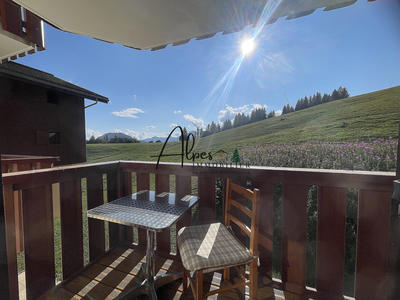 Appartement - 17 m² - 1 pièce