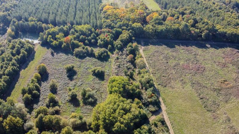 Forêt - 223 455 m²