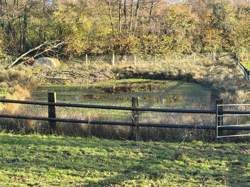 Maison en pierre - 145 m² - 8 pièces